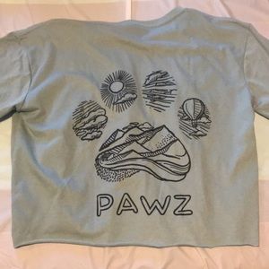Pawz Light Green Crop Top
